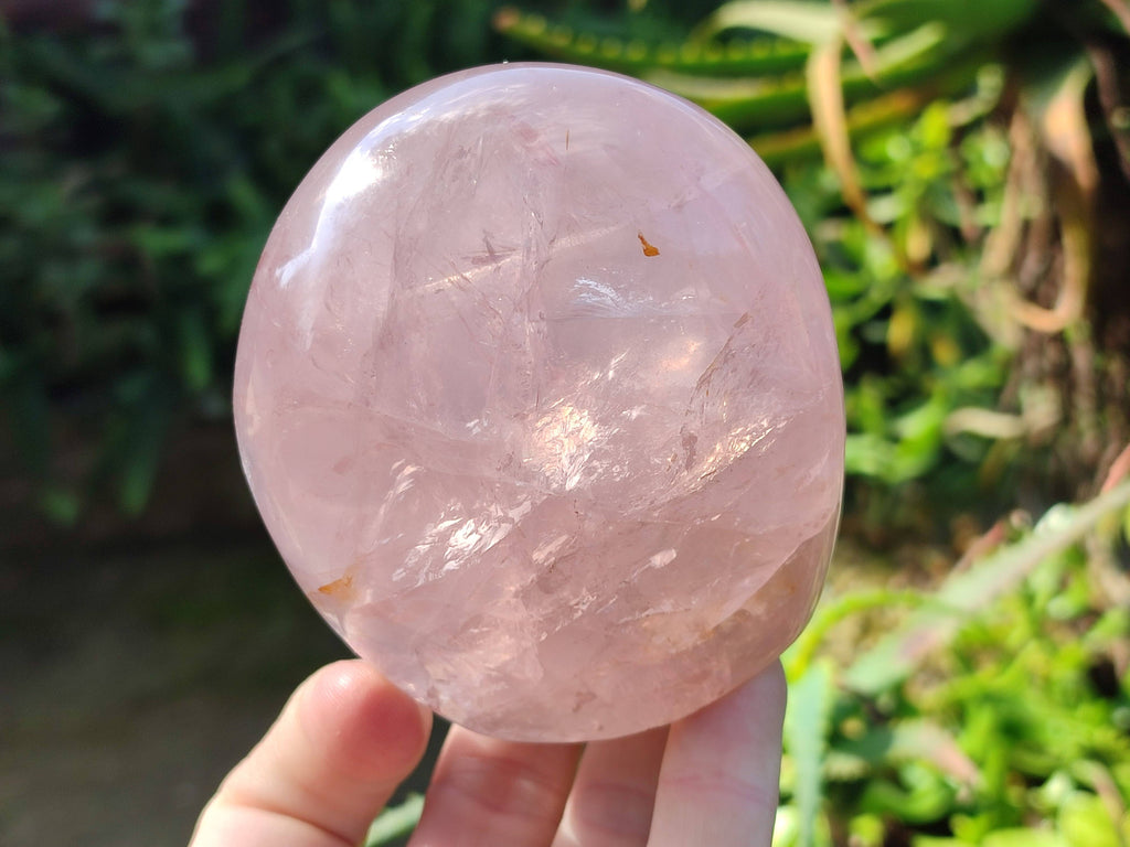 Polished Rose Quartz Standing Free Forms x 2 Madagascar - Toprock Gemstones and Minerals 