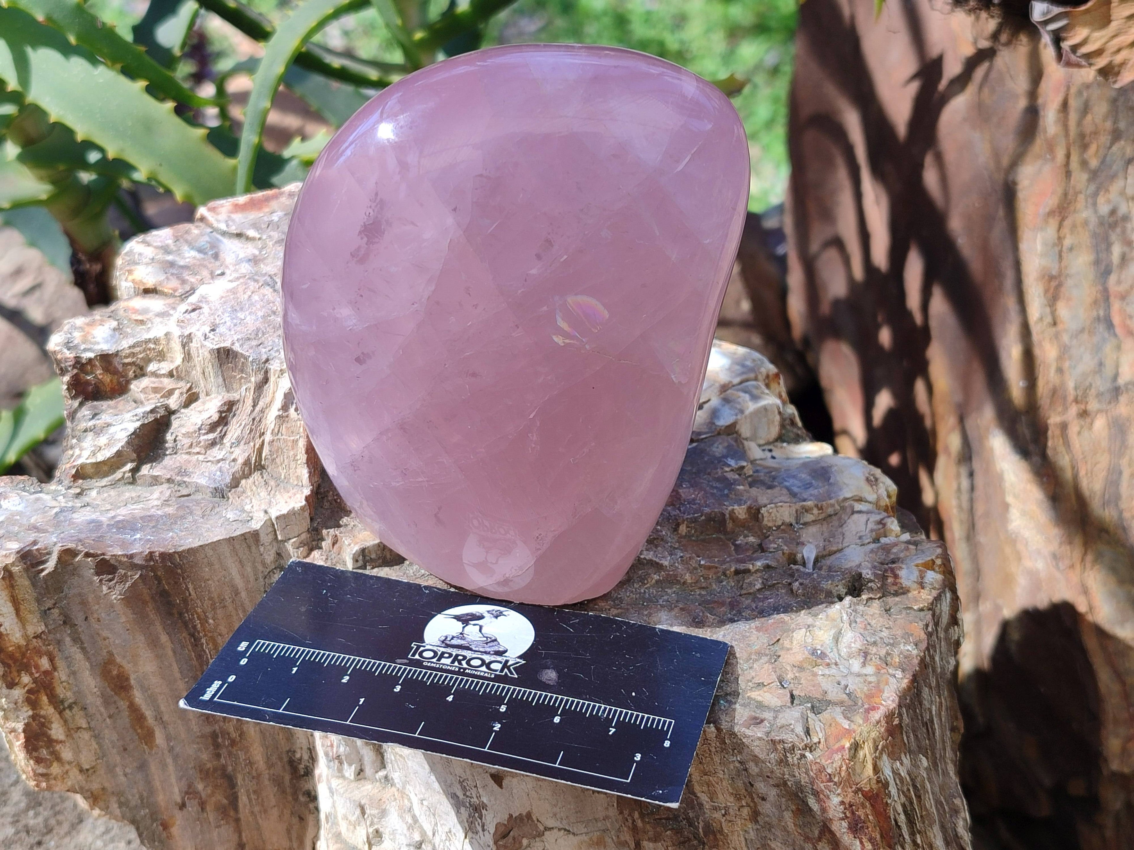 Polished Rose Quartz Standing Free Forms x 2 Madagascar - Toprock Gemstones and Minerals 