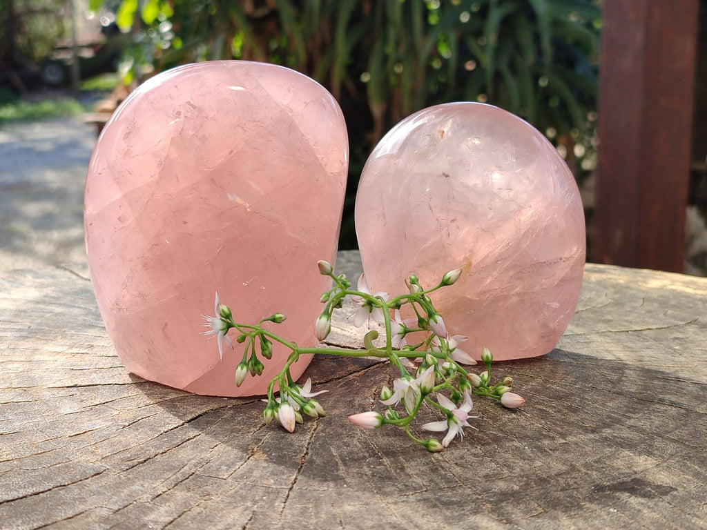 Polished Rose Quartz Standing Free Forms x 2 Madagascar - Toprock Gemstones and Minerals 