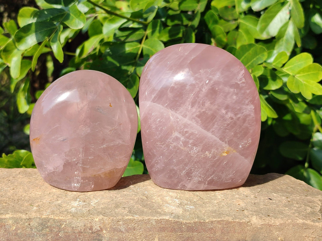 Polished Rose Quartz Standing Free Forms x 2 Madagascar - Toprock Gemstones and Minerals 