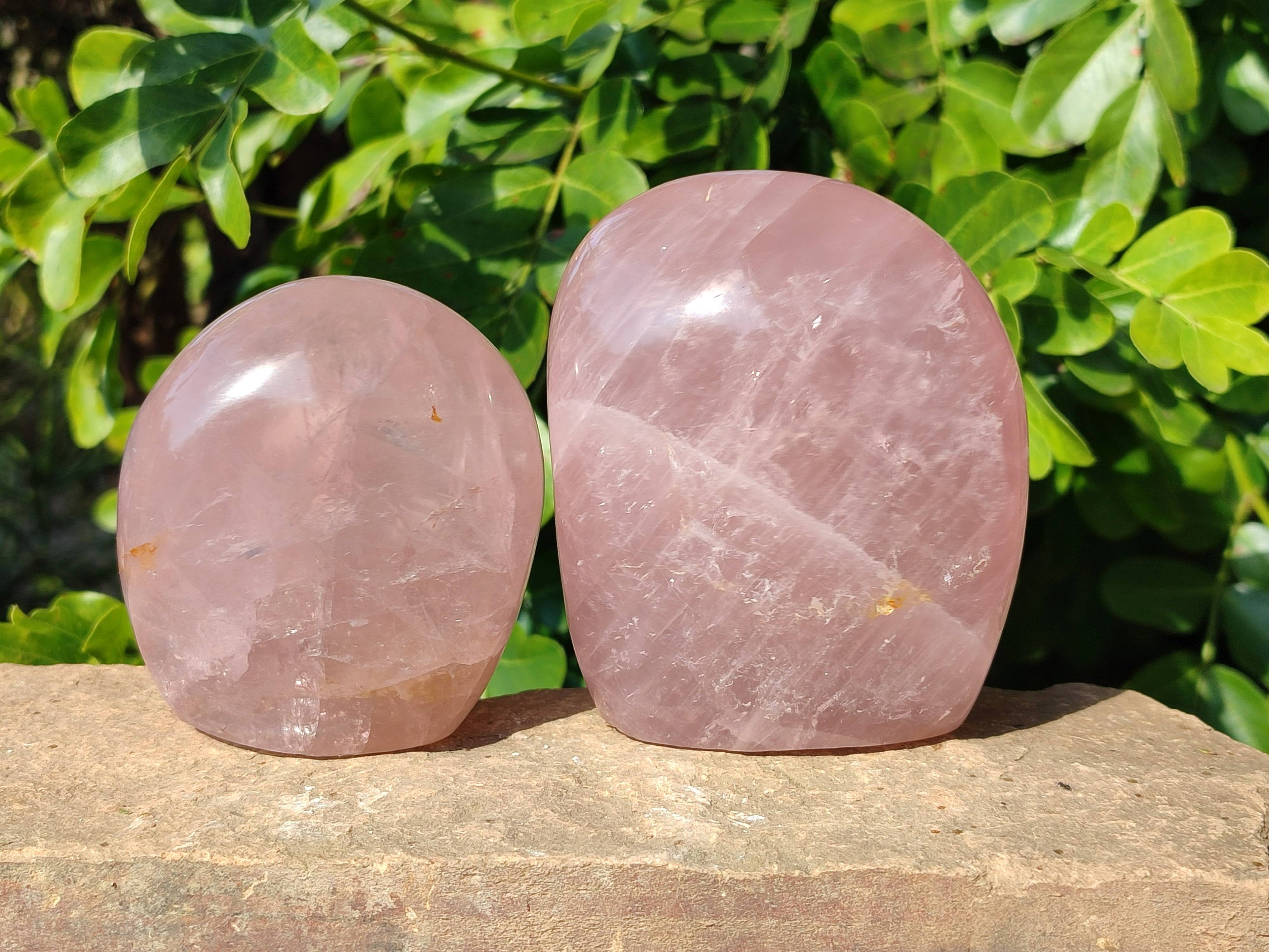 Polished Rose Quartz Standing Free Forms x 2 Madagascar - Toprock Gemstones and Minerals 