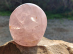 Polished Rose Quartz Standing Free Forms x 2 Madagascar - Toprock Gemstones and Minerals 