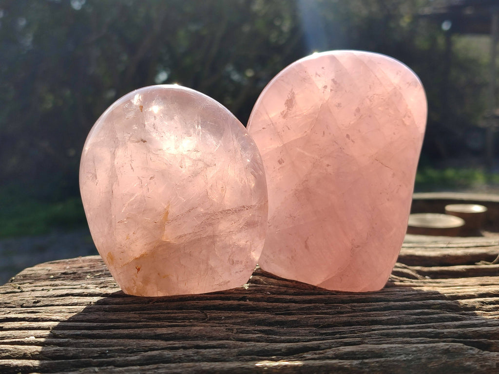 Polished Rose Quartz Standing Free Forms x 2 Madagascar - Toprock Gemstones and Minerals 