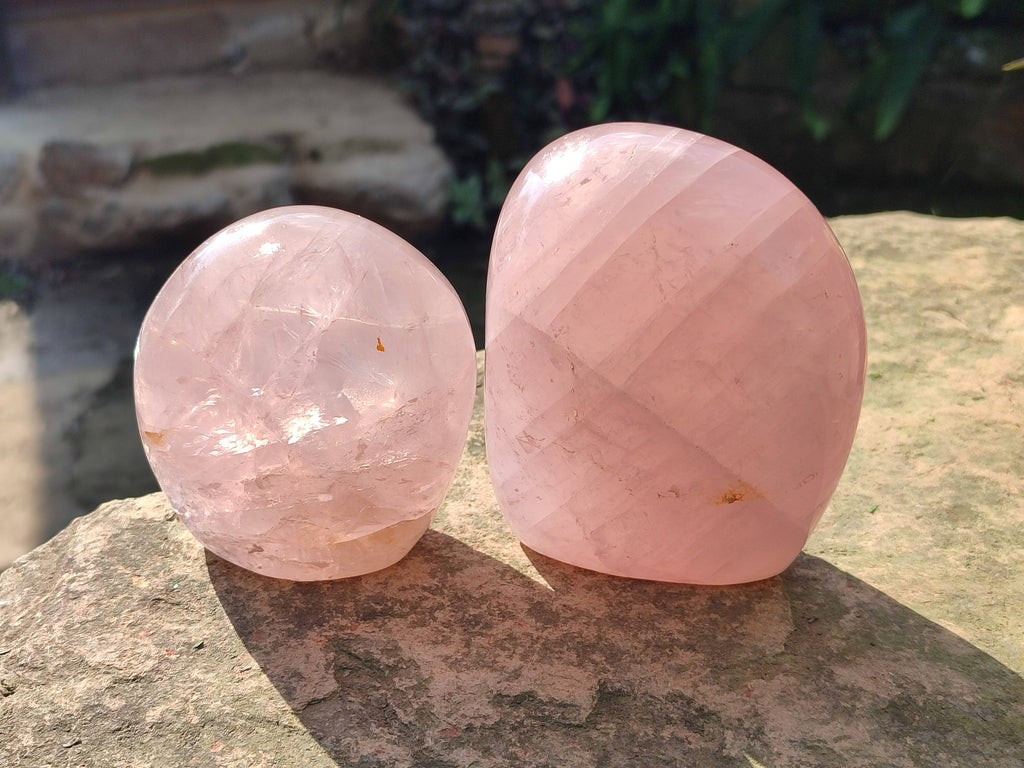 Polished Rose Quartz Standing Free Forms x 2 Madagascar - Toprock Gemstones and Minerals 
