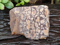 Natural Selected Nguni Jasper Cobbed Specimens x 12 From Prieska, South Africa