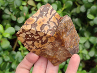 Natural Selected Nguni Jasper Cobbed Specimens x 12 From Prieska, South Africa