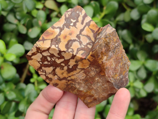 Natural Selected Nguni Jasper Cobbed Specimens x 12 From Prieska, South Africa