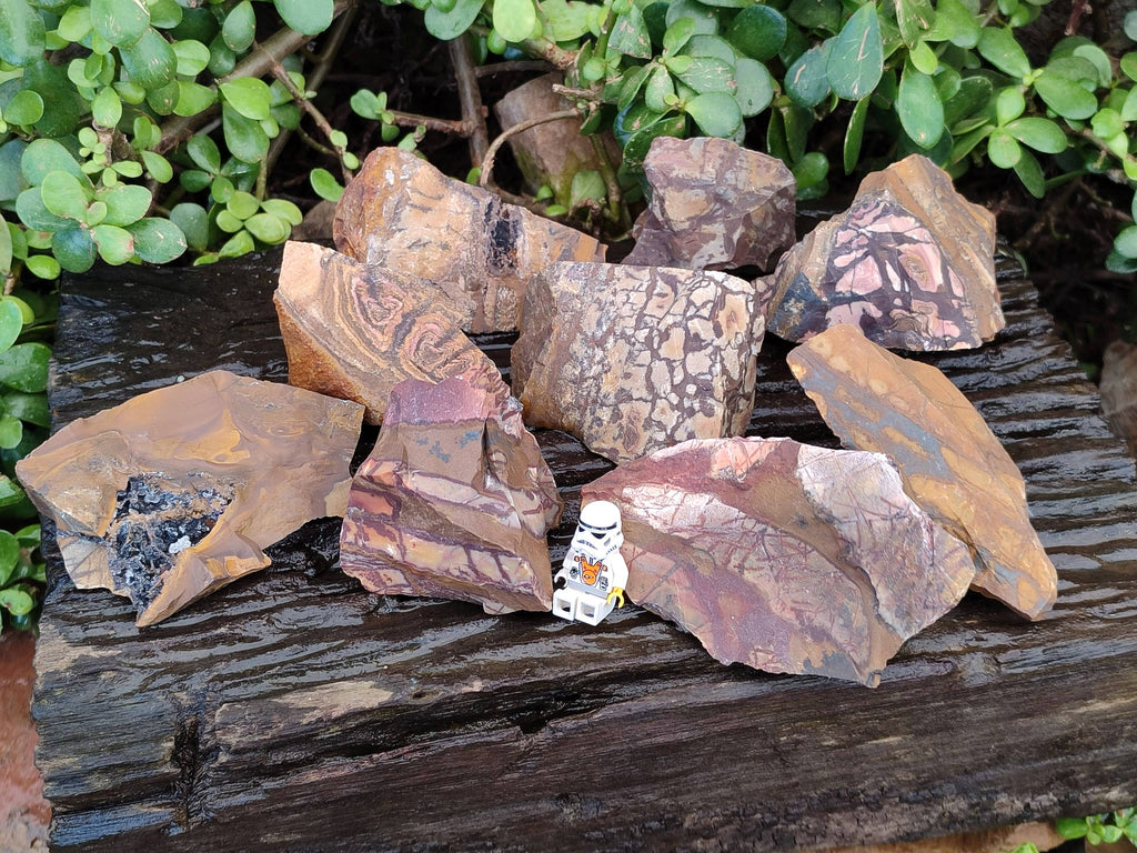 Natural Selected Nguni Jasper Cobbed Specimens x 12 From Prieska, South Africa - Toprock Gemstones and Minerals 