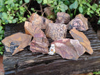 Natural Selected Nguni Jasper Cobbed Specimens x 12 From Prieska, South Africa - Toprock Gemstones and Minerals 