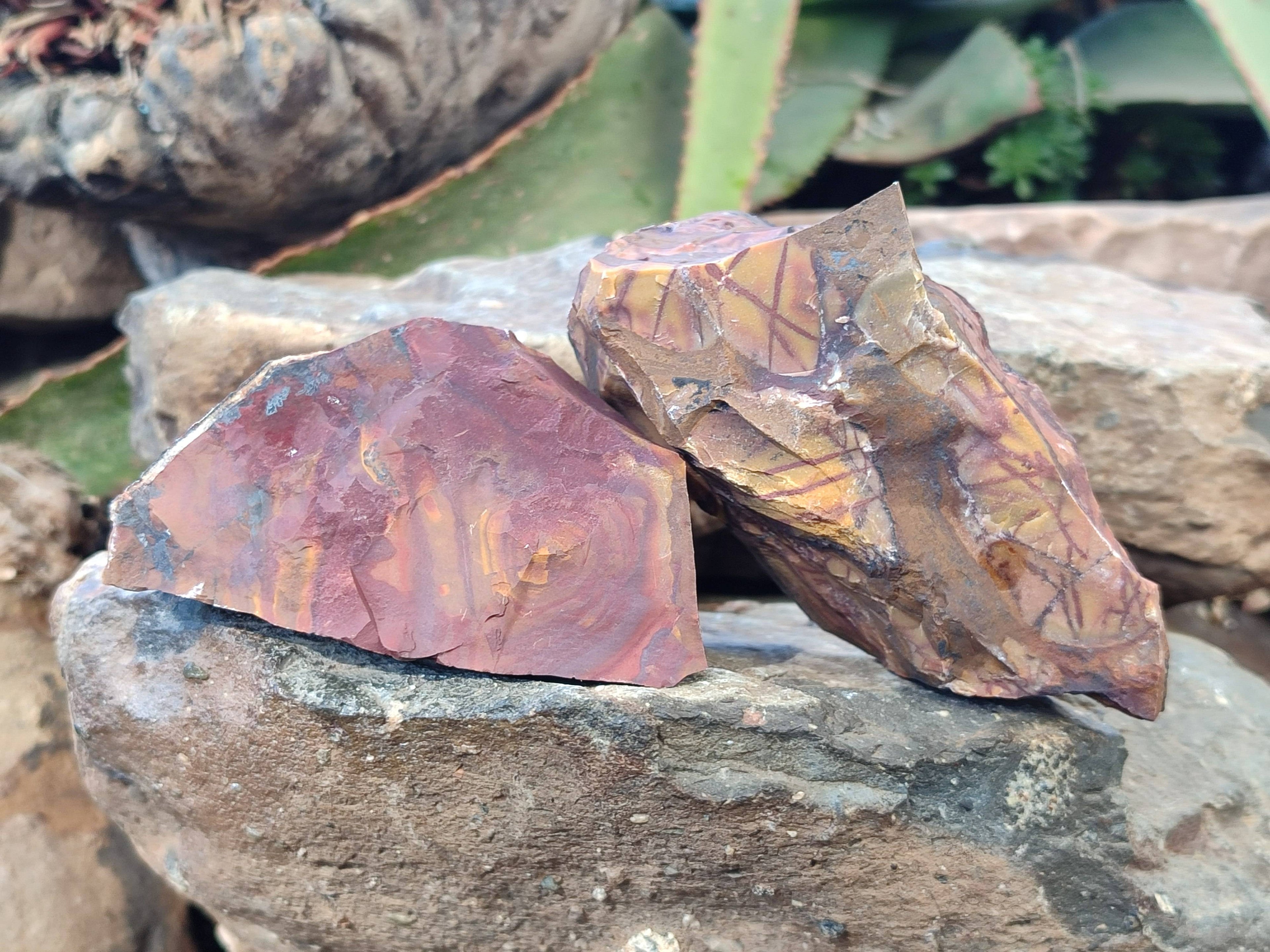 Natural Selected Nguni Jasper Cobbed Specimens x 12 From Prieska, South Africa - Toprock Gemstones and Minerals 