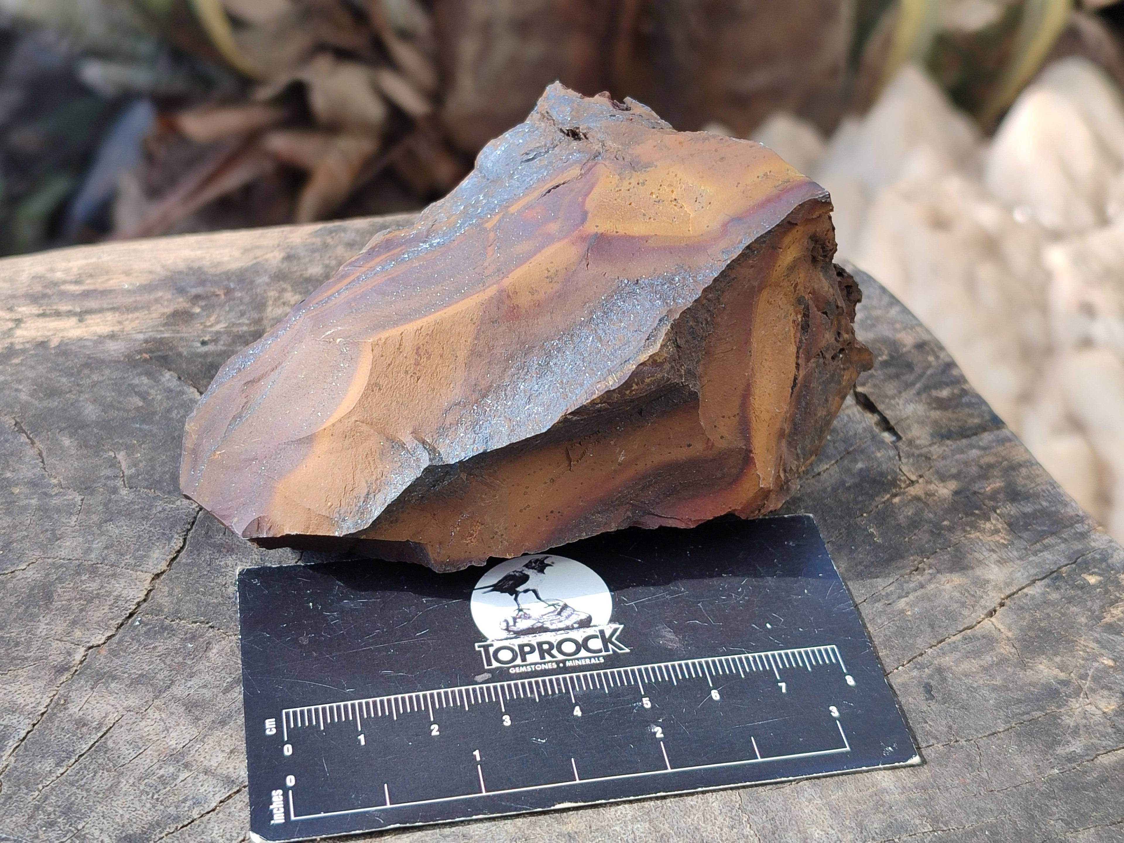 Natural Selected Nguni Jasper Cobbed Specimens x 12 From Prieska, South Africa - Toprock Gemstones and Minerals 