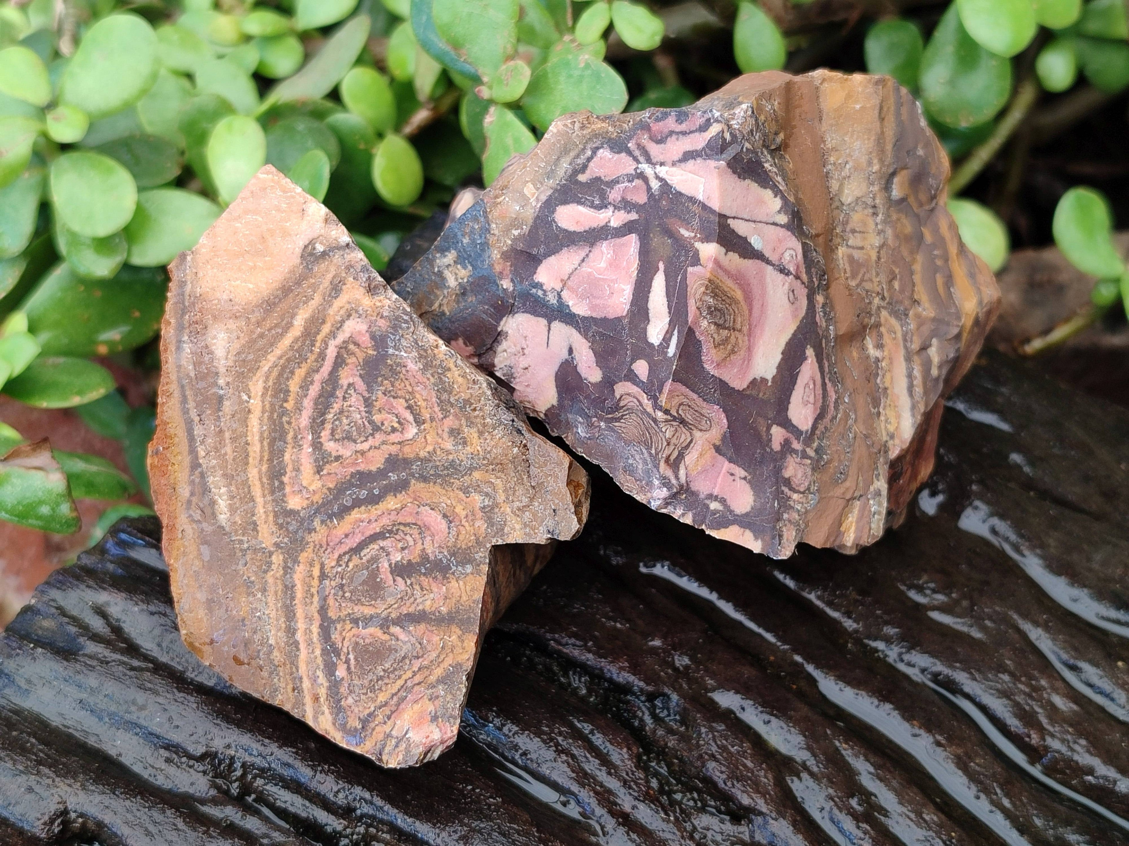 Natural Selected Nguni Jasper Cobbed Specimens x 12 From Prieska, South Africa - Toprock Gemstones and Minerals 