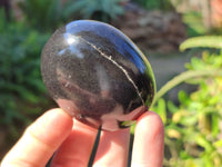 Polished Black Basalt Palm Stones x 12 From Madagascar - Toprock Gemstones and Minerals 