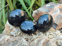 Polished Black Basalt Palm Stones x 12 From Madagascar - Toprock Gemstones and Minerals 