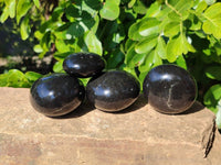 Polished Black Basalt Palm Stones x 12 From Madagascar - Toprock Gemstones and Minerals 