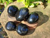 Polished Black Basalt Palm Stones x 12 From Madagascar - Toprock Gemstones and Minerals 