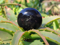 Polished Black Basalt Palm Stones x 12 From Madagascar - Toprock Gemstones and Minerals 