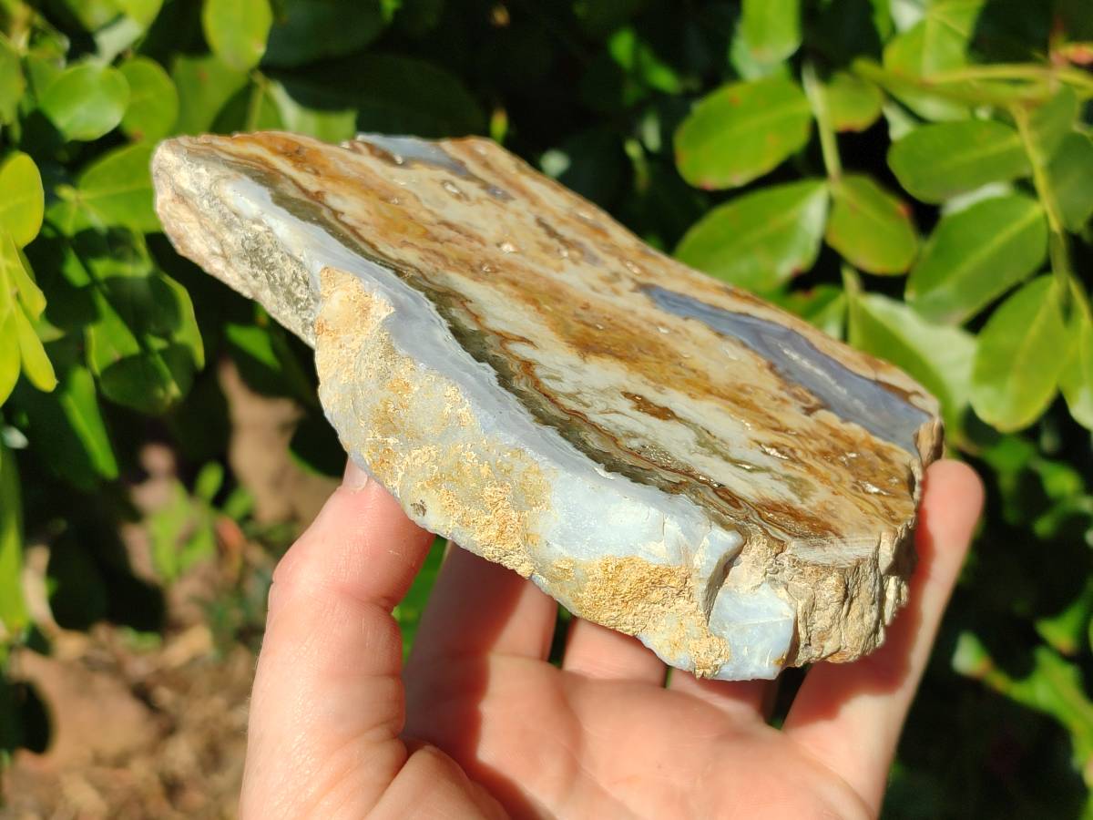 Polished On One Side 'Crazy' Blue Lace Agate x 4 From Namibia - Toprock Gemstones and Minerals 