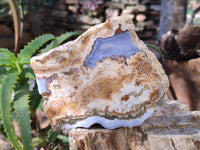 Polished On One Side 'Crazy' Blue Lace Agate x 4 From Namibia