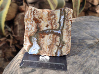 Polished On One Side 'Crazy' Blue Lace Agate x 4 From Namibia