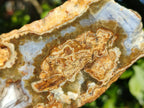 Polished On One Side 'Crazy' Blue Lace Agate x 4 From Namibia - Toprock Gemstones and Minerals 