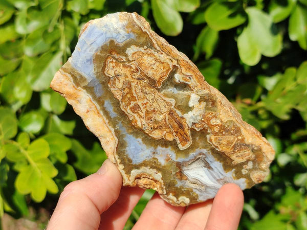 Polished On One Side 'Crazy' Blue Lace Agate x 4 From Namibia