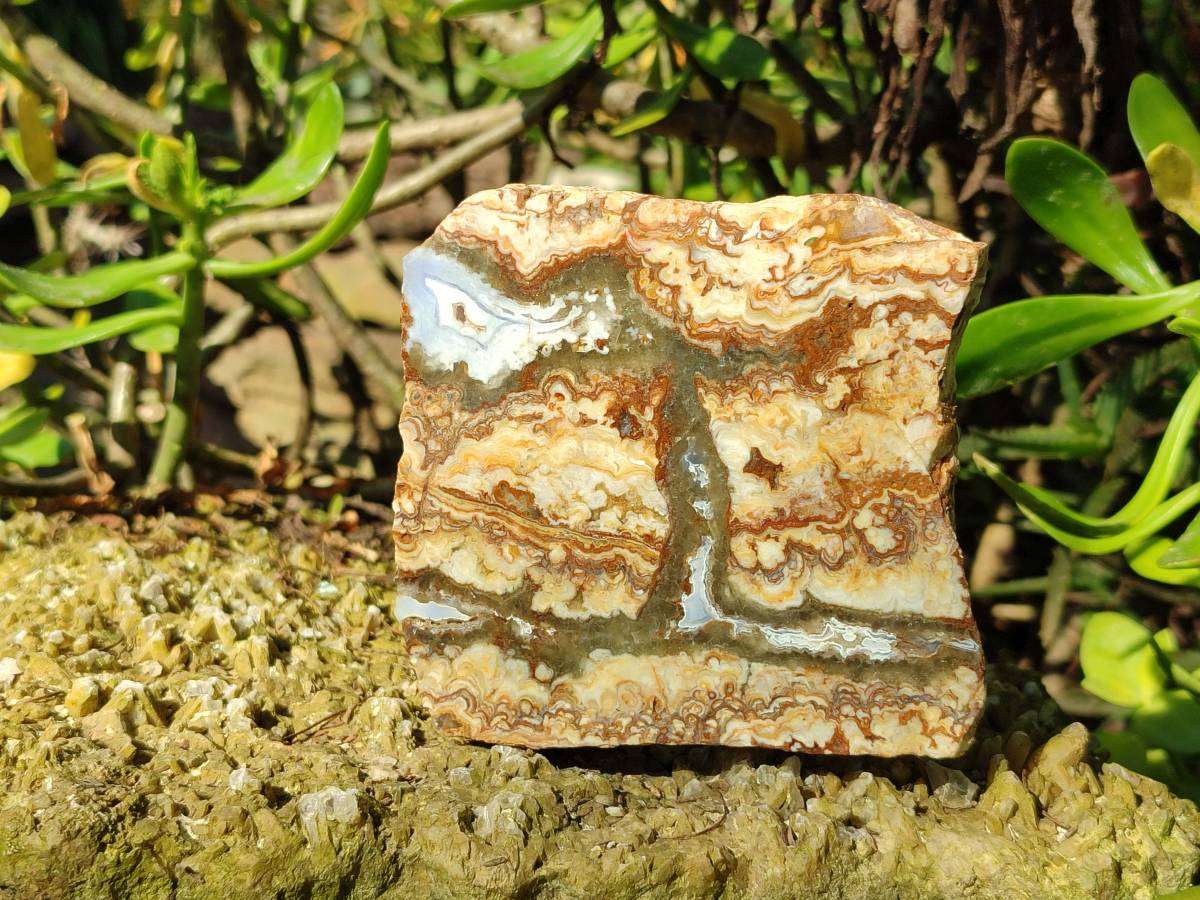 Polished On One Side 'Crazy' Blue Lace Agate x 4 From Namibia - Toprock Gemstones and Minerals 