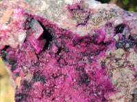 Natural Drusy Salrose on Dolomite Matrix Specimen x 1 From Kakanda, Congo