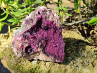 Natural Drusy Salrose on Dolomite Matrix Specimen x 1 From Kakanda, Congo