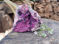 Natural Drusy Salrose on Dolomite Matrix Specimen x 1 From Kakanda, Congo