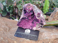 Natural Drusy Salrose on Dolomite Matrix Specimen x 1 From Kakanda, Congo