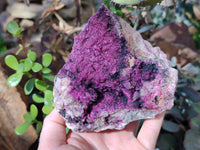 Natural Drusy Salrose on Dolomite Matrix Specimen x 1 From Kakanda, Congo