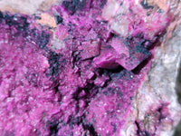 Natural Drusy Salrose on Dolomite Matrix Specimen x 1 From Kakanda, Congo