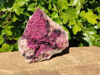 Natural Drusy Salrose on Dolomite Matrix Specimen x 1 From Kakanda, Congo