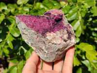 Natural Drusy Salrose on Dolomite Matrix Specimen x 1 From Kakanda, Congo
