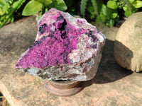 Natural Drusy Salrose on Dolomite Matrix Specimen x 1 From Kakanda, Congo