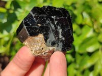 Natural Schorl Black Tourmaline Specimens x 12 From Namibia