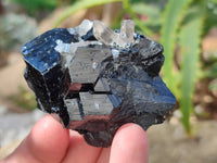Natural Schorl Black Tourmaline Specimens x 12 From Namibia