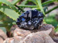 Natural Schorl Black Tourmaline Specimens x 12 From Namibia