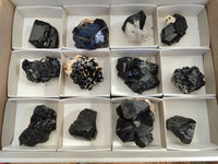 Natural Schorl Black Tourmaline Specimens x 12 From Namibia