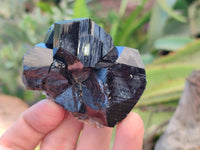 Natural Schorl Black Tourmaline Specimens x 12 From Namibia