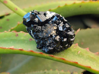 Natural Schorl Black Tourmaline Specimens x 12 From Namibia