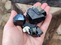 Natural Schorl Black Tourmaline Specimens x 12 From Namibia