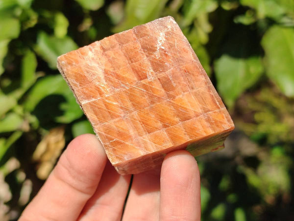 Natural Sunset Orange Calcite Specimens x 24 From Spitzkop, Namibia
