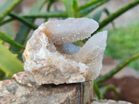 Natural Limonite Coated Fairy Spirit Quartz Clusters x 12 From Boekenhouthoek, South Africa
