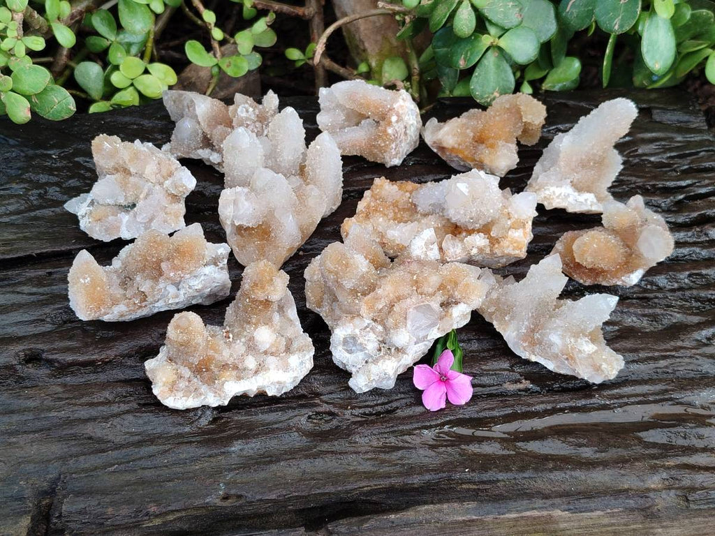 Natural Limonite Coated Fairy Spirit Quartz Clusters x 12 From Boekenhouthoek, South Africa - Toprock Gemstones and Minerals 