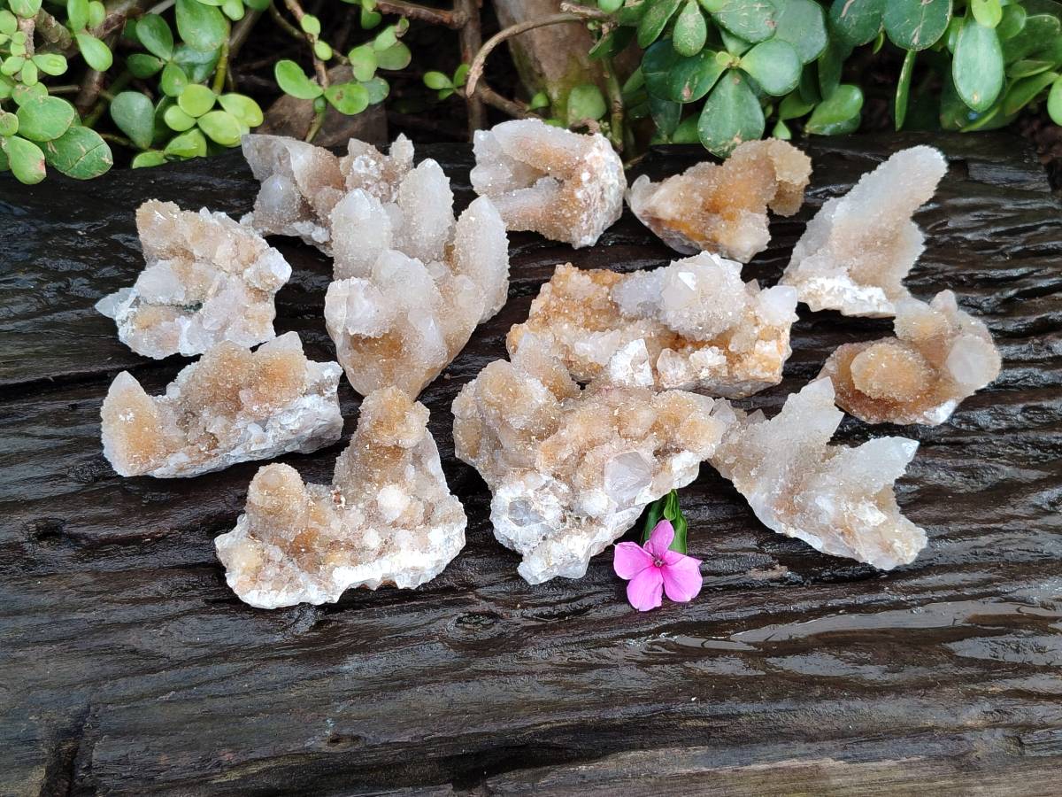 Natural Limonite Coated Fairy Spirit Quartz Clusters x 12 From Boekenhouthoek, South Africa - Toprock Gemstones and Minerals 