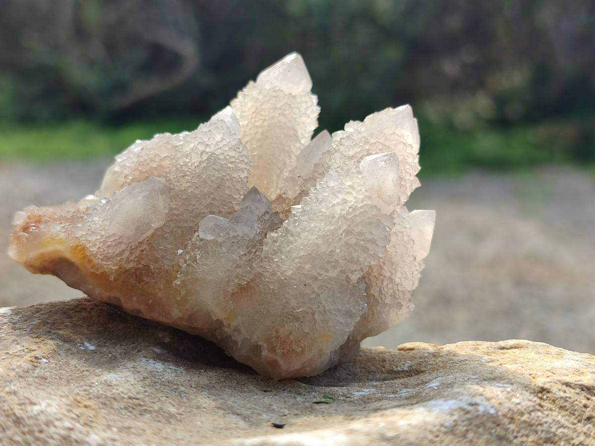 Natural Limonite Coated Fairy Spirit Quartz Clusters x 12 From Boekenhouthoek, South Africa - Toprock Gemstones and Minerals 