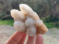 Natural Limonite Coated Fairy Spirit Quartz Clusters x 12 From Boekenhouthoek, South Africa