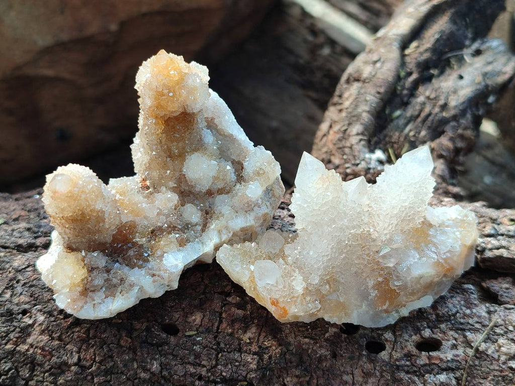 Natural Limonite Coated Fairy Spirit Quartz Clusters x 12 From Boekenhouthoek, South Africa - Toprock Gemstones and Minerals 